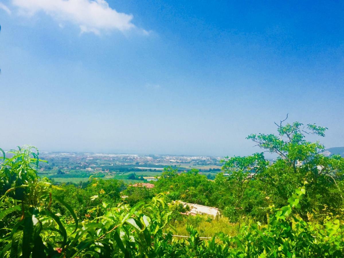 Montebianco B&B Faiano Dış mekan fotoğraf